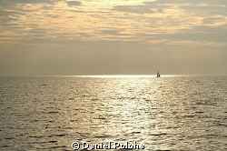 Sailing Bronze Sea by Daniel Poloha 